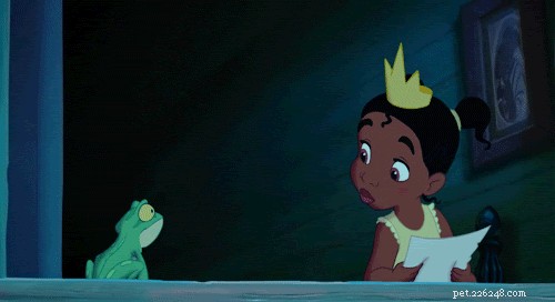 28 Fascinating Disney Animal Facts You Probably Didn t Know