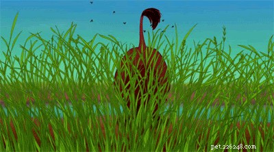 28 Fascinating Disney Animal Facts You Probably Didn t Know