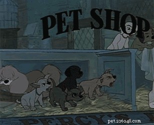 28 Fascinating Disney Animal Facts You Probably Didn t Know