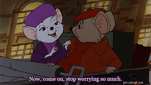 28 Fascinating Disney Animal Facts You Probably Didn t Know