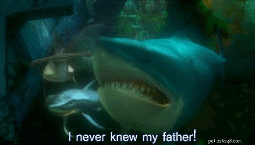 28 Fascinating Disney Animal Facts You Probably Didn t Know