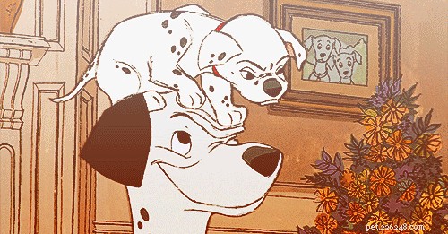 28 Fascinating Disney Animal Facts You Probably Didn t Know