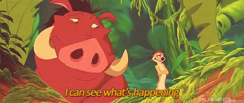 28 Fascinating Disney Animal Facts You Probably Didn t Know
