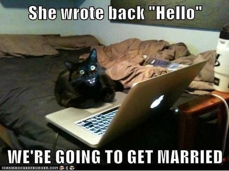Animal Memes That Capture the Reality of a Lonely, Single Life