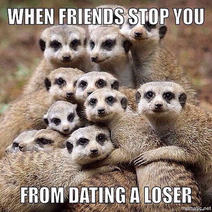 Animal Memes That Capture the Reality of a Lonely, Single Life