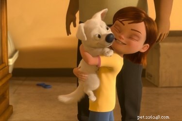 How Disney Films Cultivated a Lifelong Love for Animals in 16 Key Ways