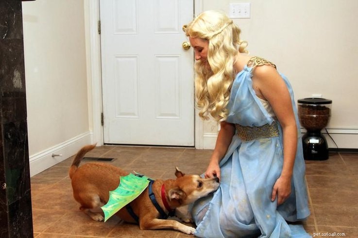 Top 23 Couple & Pet Halloween Costumes for the Ultimate Costume Party