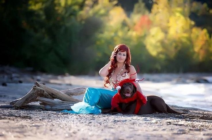 Top 23 Couple & Pet Halloween Costumes for the Ultimate Costume Party