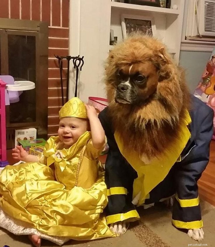 Top 23 Couple & Pet Halloween Costumes for the Ultimate Costume Party