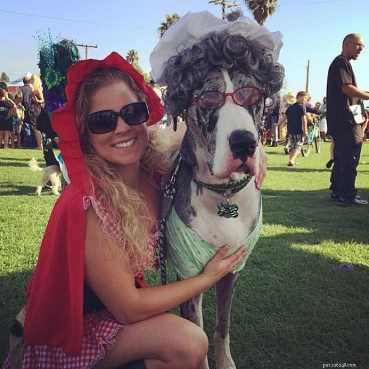 Top 23 Couple & Pet Halloween Costumes for the Ultimate Costume Party