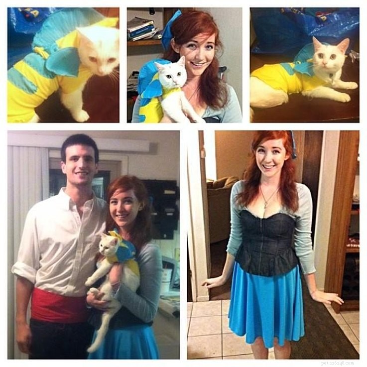 Top 23 Couple & Pet Halloween Costumes for the Ultimate Costume Party