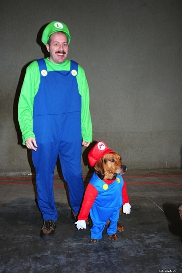 Top 23 Couple & Pet Halloween Costumes for the Ultimate Costume Party