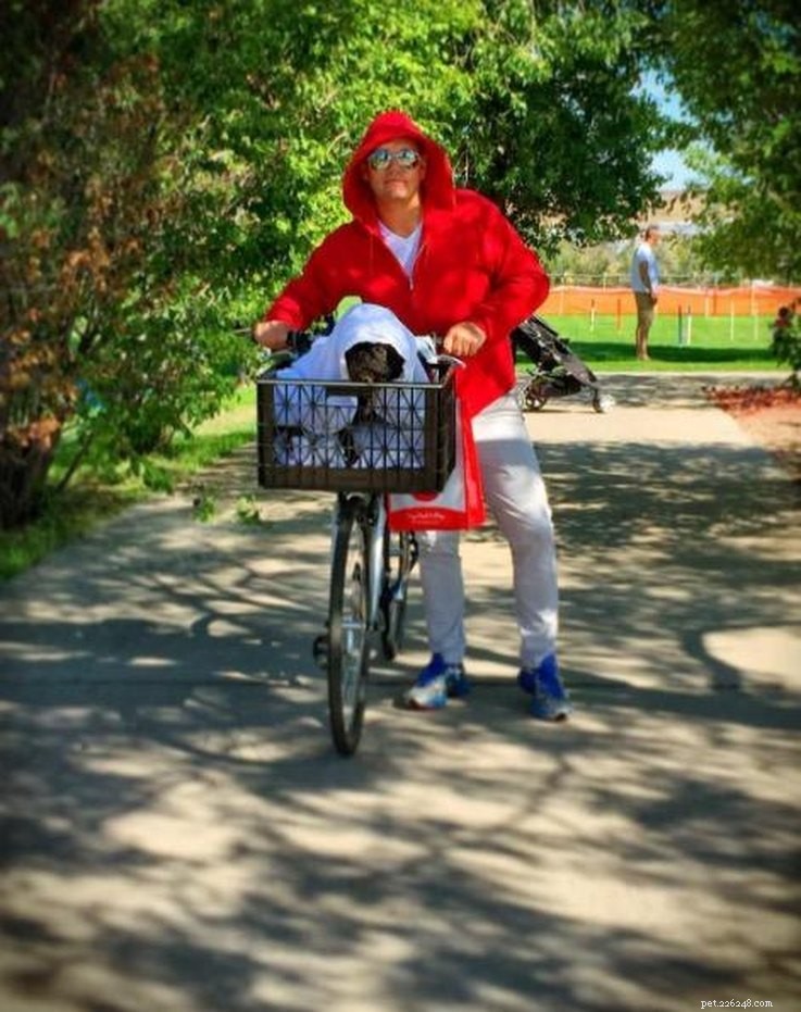 Top 23 Couple & Pet Halloween Costumes for the Ultimate Costume Party
