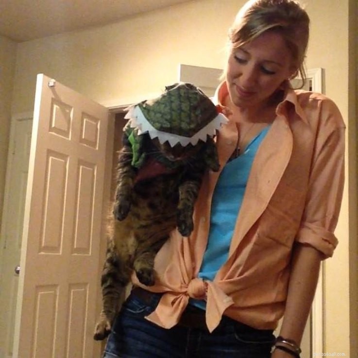 Top 23 Couple & Pet Halloween Costumes for the Ultimate Costume Party