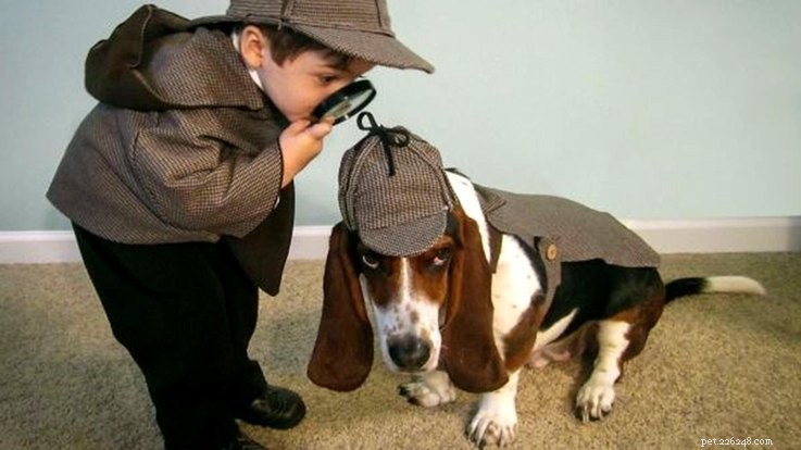 Top 23 Couple & Pet Halloween Costumes for the Ultimate Costume Party