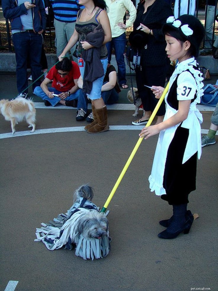 Top 23 Couple & Pet Halloween Costumes for the Ultimate Costume Party