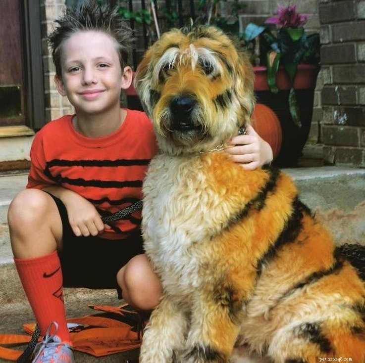 Top 23 Couple & Pet Halloween Costumes for the Ultimate Costume Party