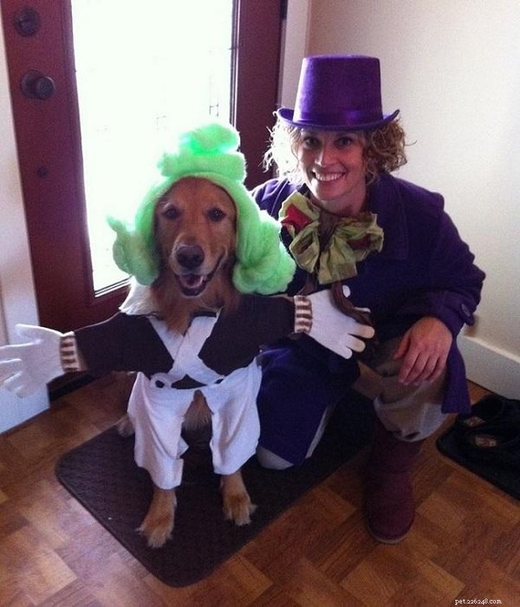 Top 23 Couple & Pet Halloween Costumes for the Ultimate Costume Party