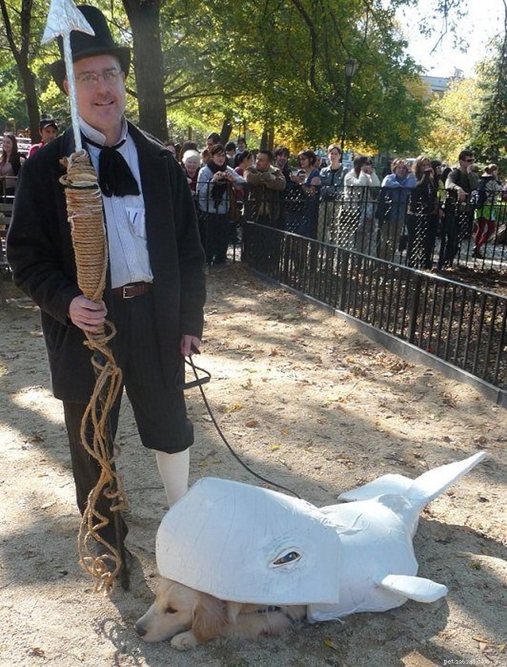 Top 23 Couple & Pet Halloween Costumes for the Ultimate Costume Party