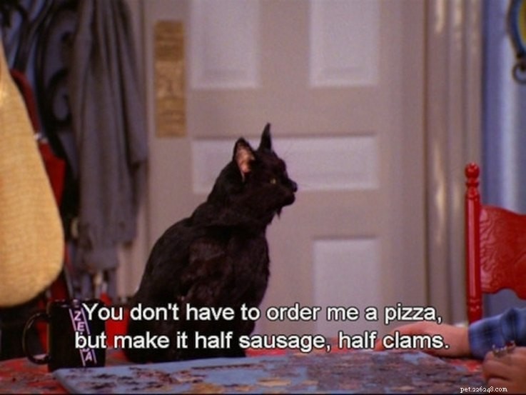 Why Salem the Cat from Sabrina the Teenage Witch Remains a Classic: 15 Reasons
