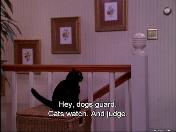 Why Salem the Cat from Sabrina the Teenage Witch Remains a Classic: 15 Reasons