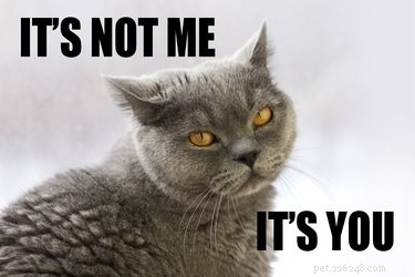 13 Clear Reasons Your Breakup Was the Right Decision