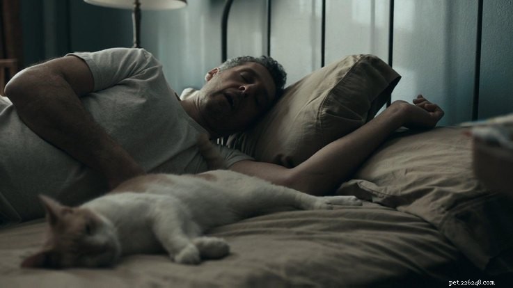 Celebrating TV s Best: Winners of the Outstanding Animal Awards