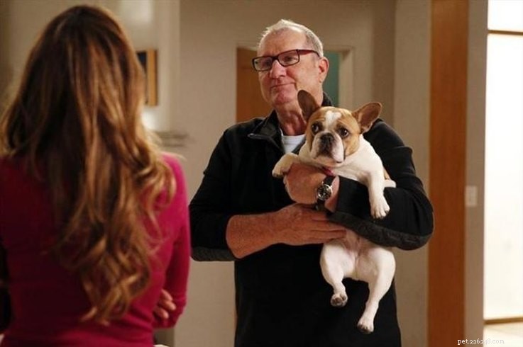 Celebrating TV s Best: Winners of the Outstanding Animal Awards