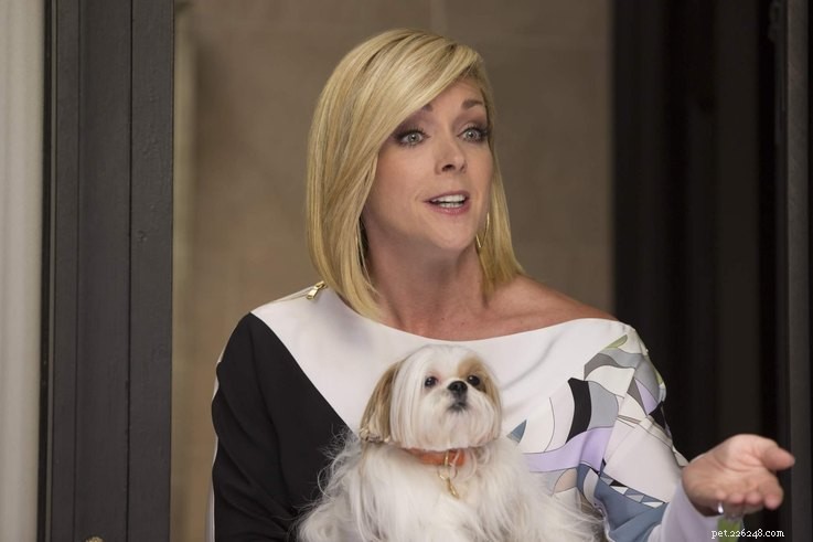 Celebrating TV s Best: Winners of the Outstanding Animal Awards