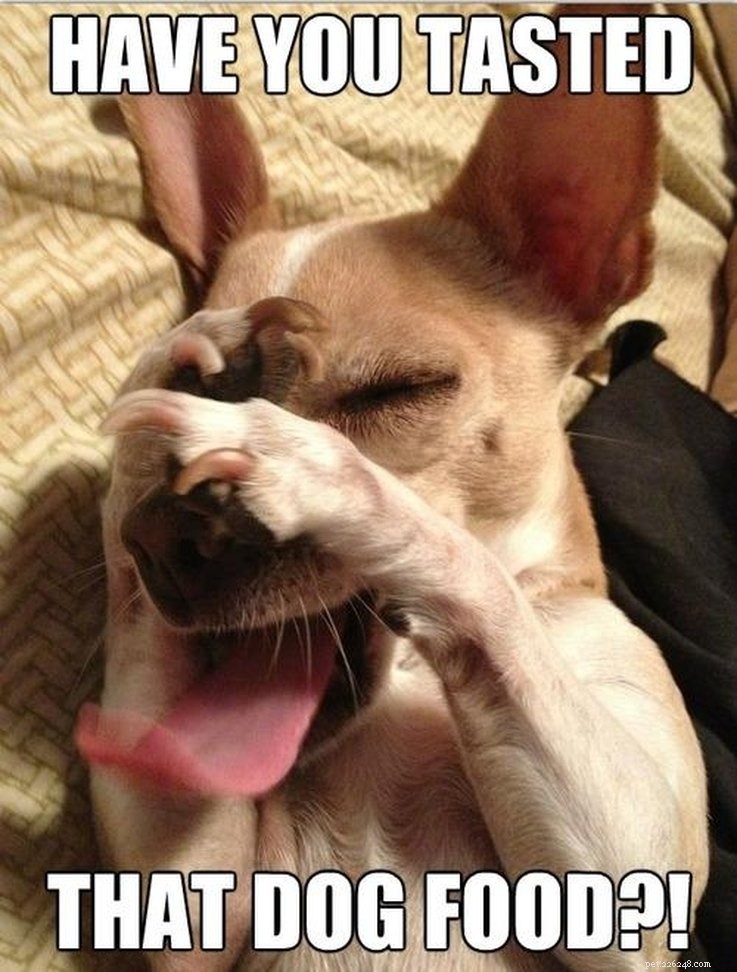 15 Animal Memes Dieters Will Relate To