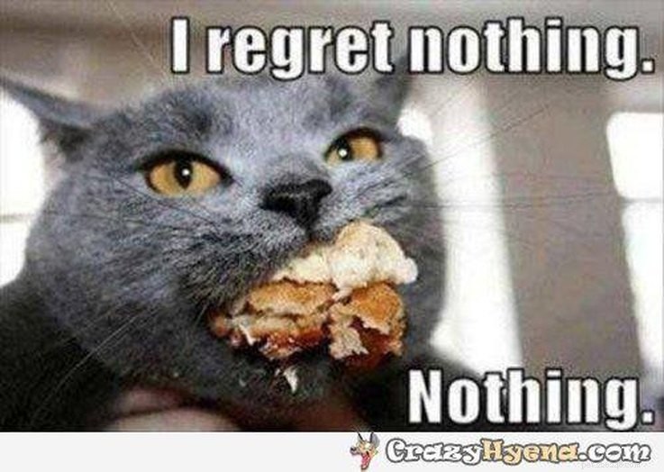 15 Animal Memes Dieters Will Relate To
