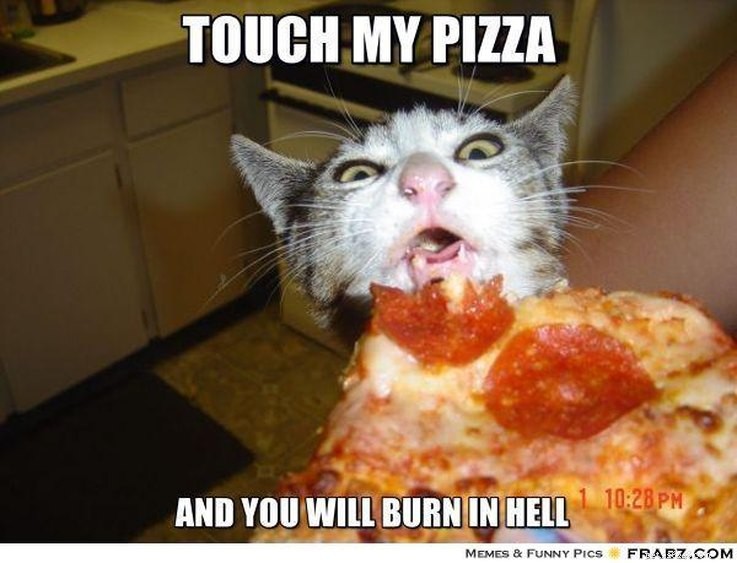 15 Animal Memes Dieters Will Relate To