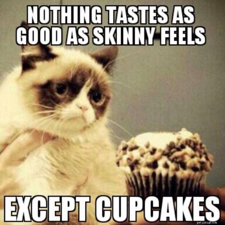 15 Animal Memes Dieters Will Relate To