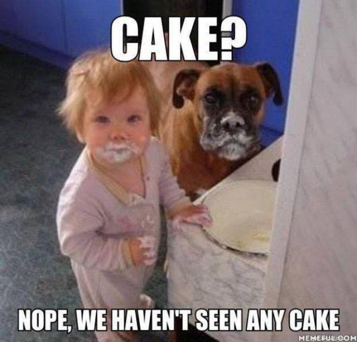 15 Animal Memes Dieters Will Relate To