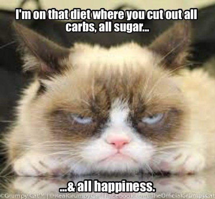 15 Animal Memes Dieters Will Relate To