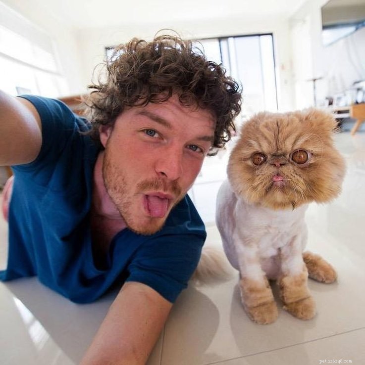 Allan Dixon: The Photographer Capturing Unbelievable Animal Selfies