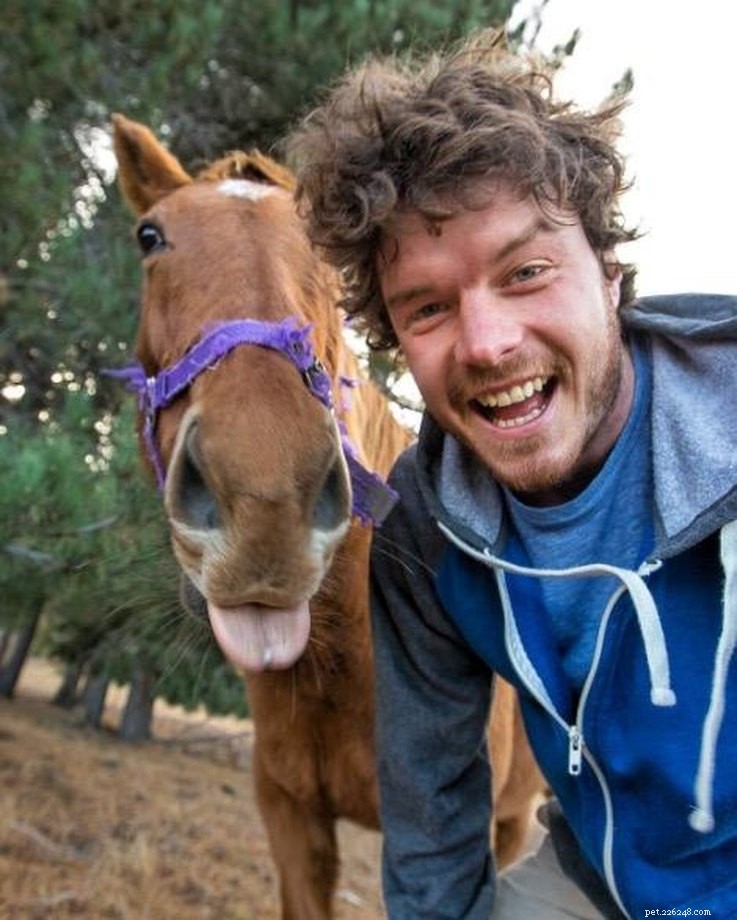 Allan Dixon: The Photographer Capturing Unbelievable Animal Selfies