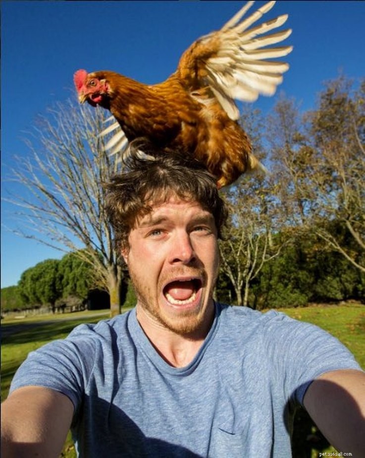 Allan Dixon: The Photographer Capturing Unbelievable Animal Selfies