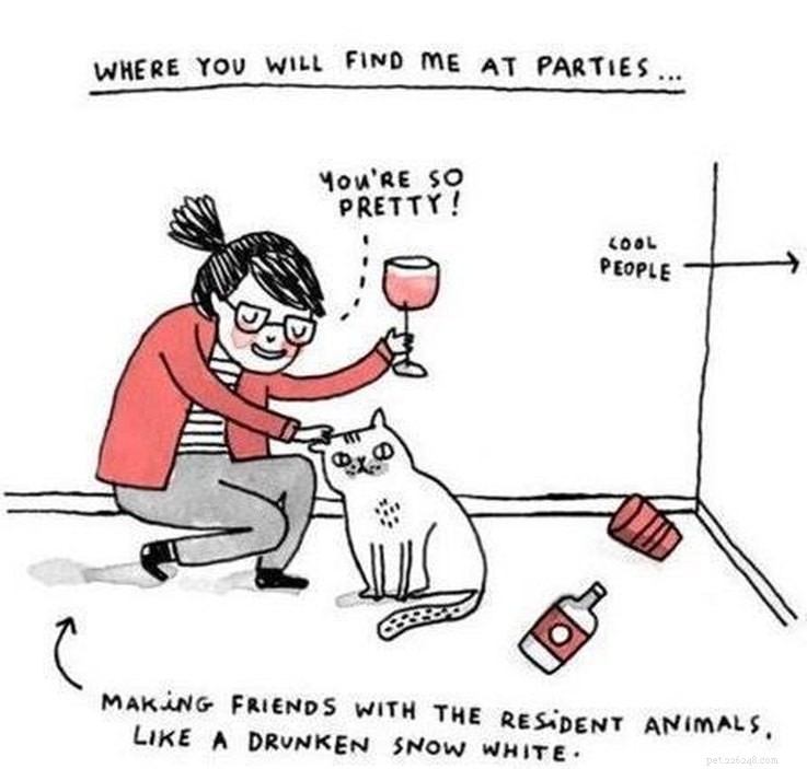 11 Animal Memes That Capture the Introvert Experience