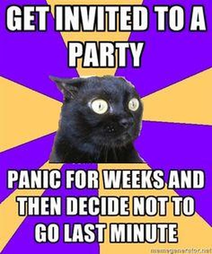 11 Animal Memes That Capture the Introvert Experience