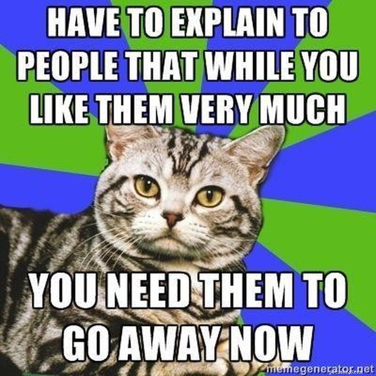 11 Animal Memes That Capture the Introvert Experience
