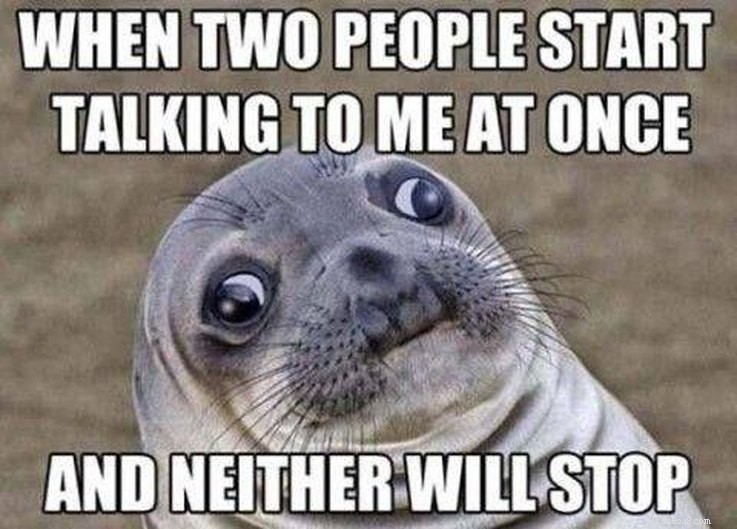 11 Animal Memes That Capture the Introvert Experience