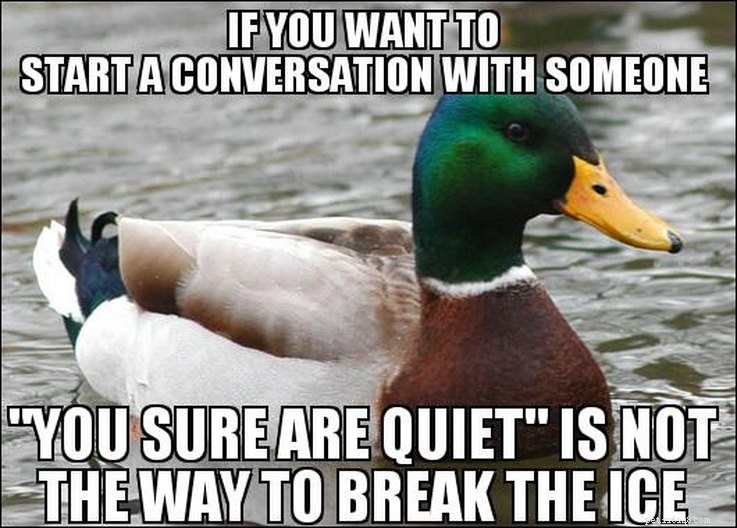 11 Animal Memes That Capture the Introvert Experience
