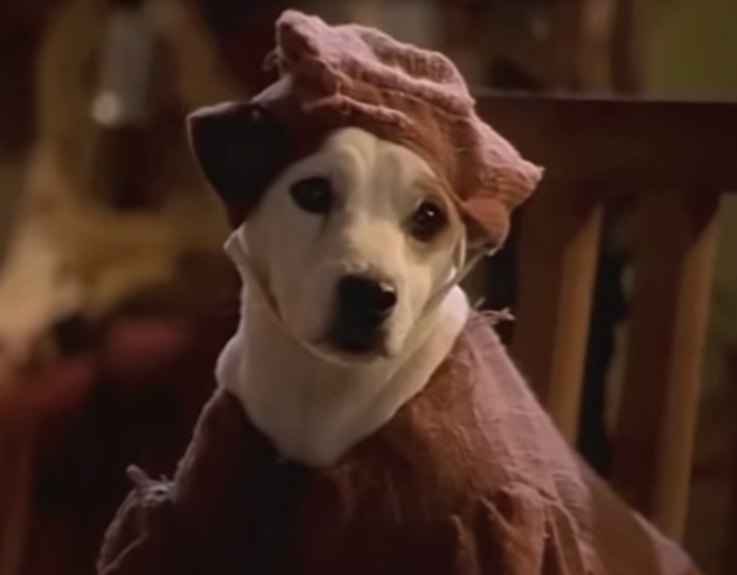 15 Iconic 90s Movie Pets That Kids Still Love