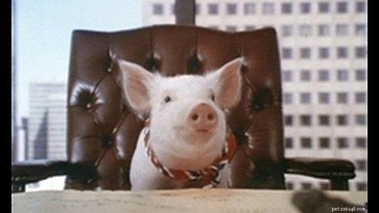 15 Iconic 90s Movie Pets That Kids Still Love