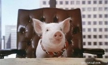 15 Iconic 90s Movie Pets That Kids Still Love