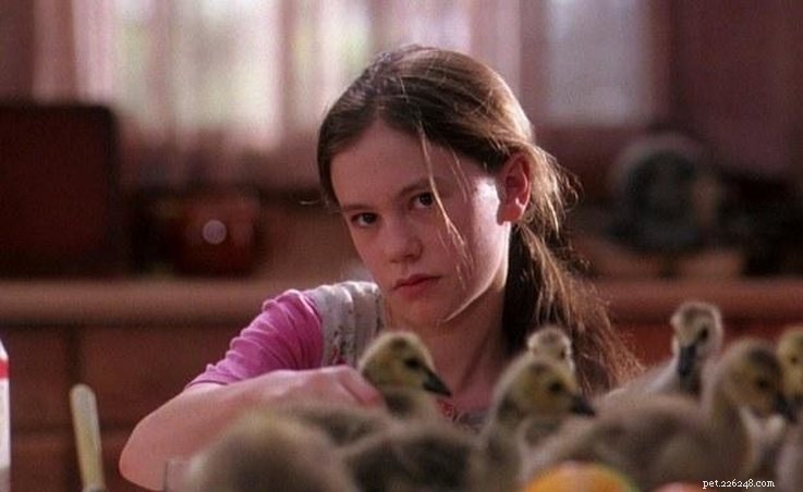 15 Iconic 90s Movie Pets That Kids Still Love