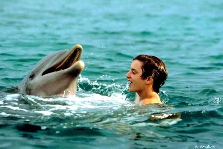15 Iconic 90s Movie Pets That Kids Still Love