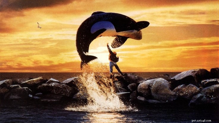 15 Iconic 90s Movie Pets That Kids Still Love