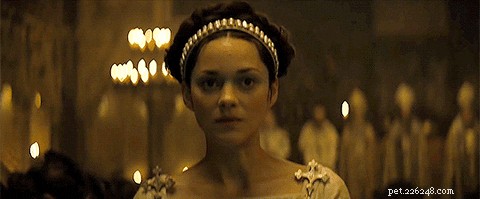 75 Elegant Shakespeare-Inspired Pet Names